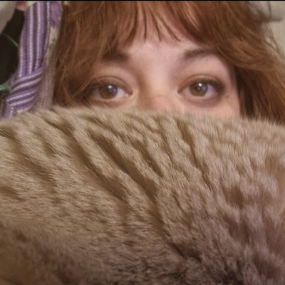 hollowforests picture