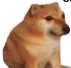 KláraDostálková picture