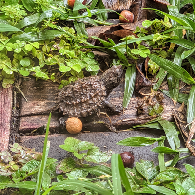 JessicaEinsidler picture