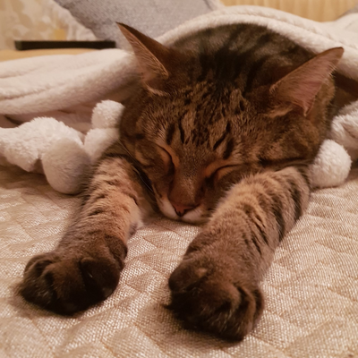 LauraSitiajeva picture