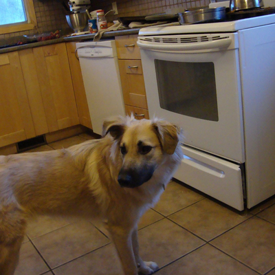 KristinGrimard picture