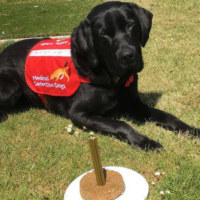 Geoffstanger picture