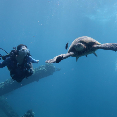 ClaireFukutaki picture