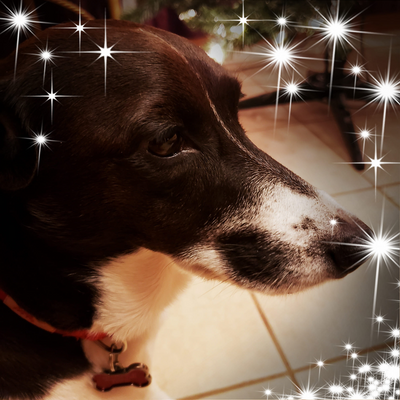 BarbaraCalderon picture