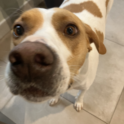 AlannahBanana picture