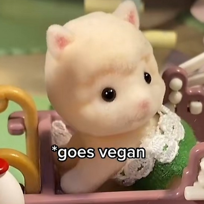 wildcataction picture