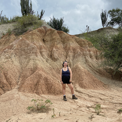 Ronjalovesvegancheese picture