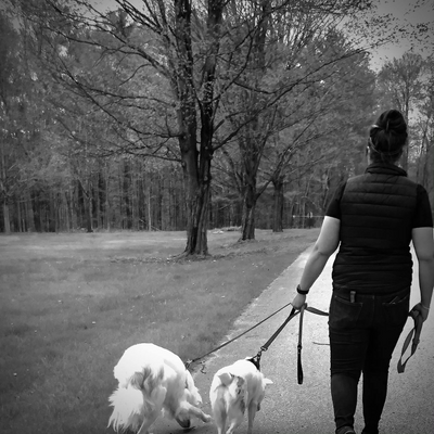 LaurenGreene picture