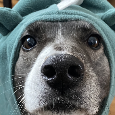 MiraLindeboom picture