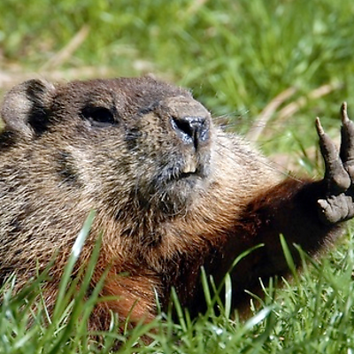 Paulishko123 picture