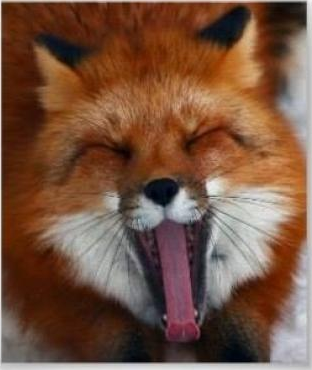 AddieCorbiere picture