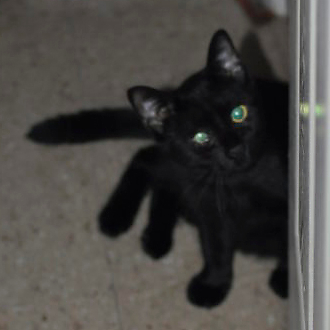 SecondEventuality picture