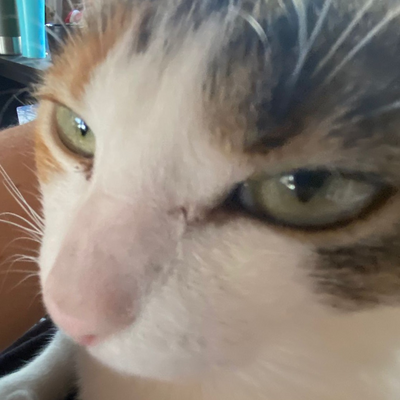 MaríaTorreblanca picture