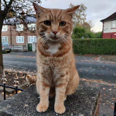 JohnTheJacket picture