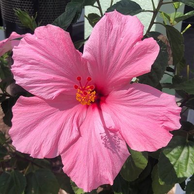 ReneeGrudzien picture