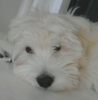 ChristineMiller picture