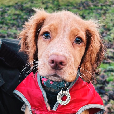 hedgerowghost picture