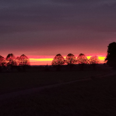 SiegridInhoffen picture