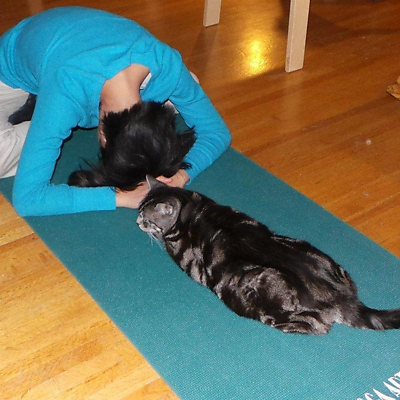 Garfieldsherry picture