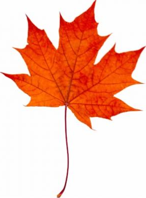 Ana Kristina Soares picture