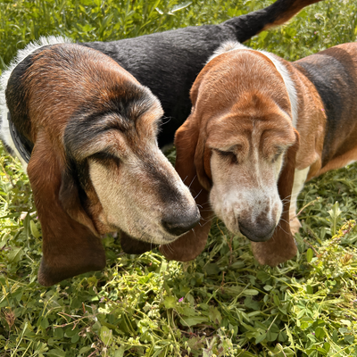 EmedeMeryvegan picture