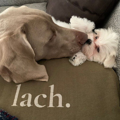 HelenRoelants picture