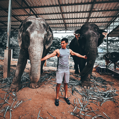 JuanSebastianFranco picture