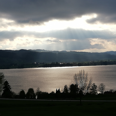 Marcie_Blackberry picture