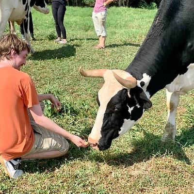 VeganKauai picture