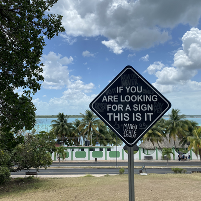 veganvoyageurs picture