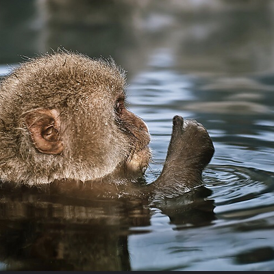 ErikJørgensen picture