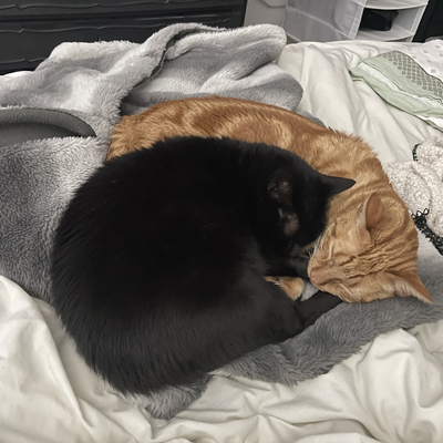 IsabelleCaetano picture