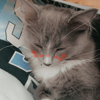 KaitlynAshwell picture