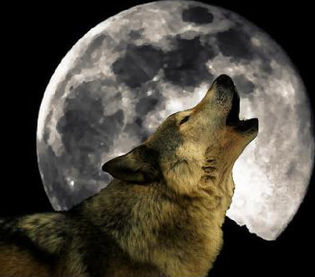 Wolfmoon picture
