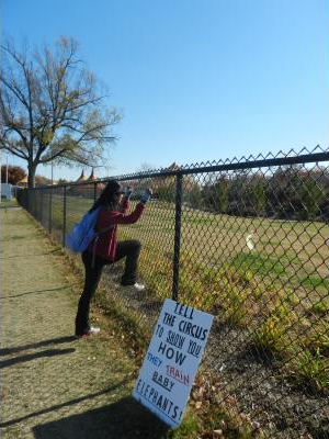 Mauraspberry picture