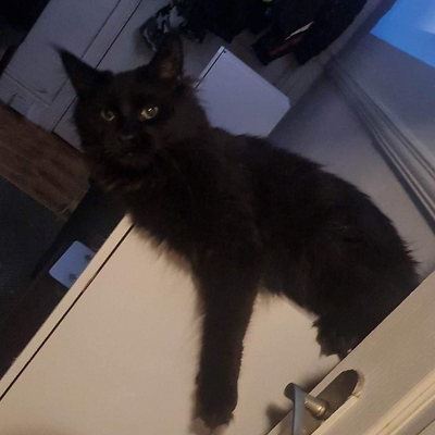 MariuszStanowski picture