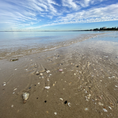 wholistic_wholesome picture