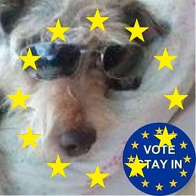 SonyaBates-Porter picture