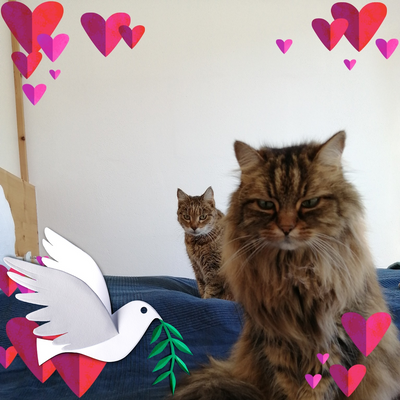 VeronikaLana picture