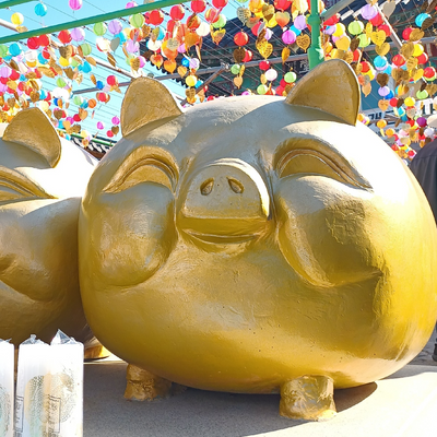 gyuseitorloseit picture