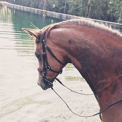 Lena-EmilieVeronica picture