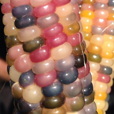 PaulineTseng picture