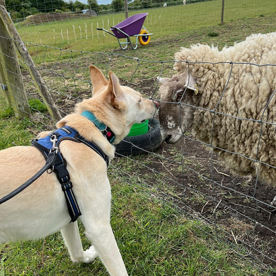 JulietteEmily picture