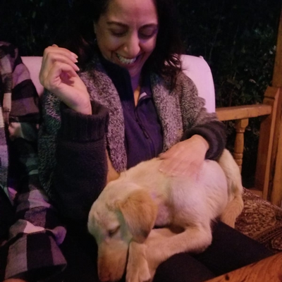 AnatBarazaniAzrad picture