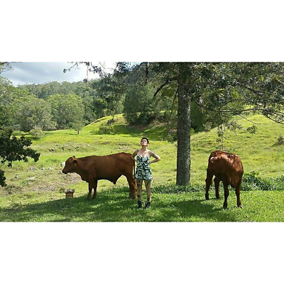 Vendredi Noir picture