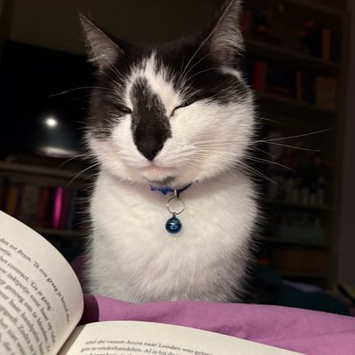 KirstenKirsten picture