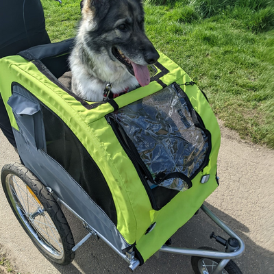 SabrinaFinnis picture