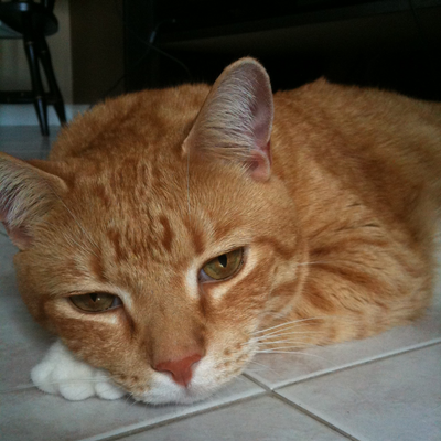 SheetalPatel picture