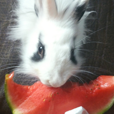 GaranceNicol picture