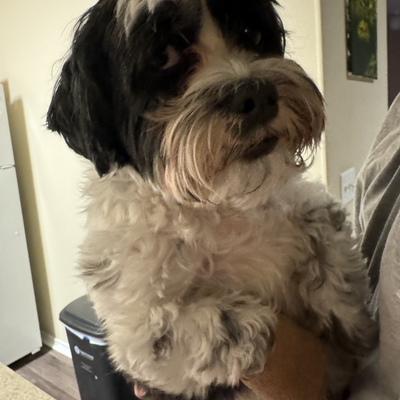 breanna_estelllla picture